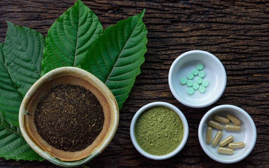 How to Choose Kratom Products & Select the Right Vendor
