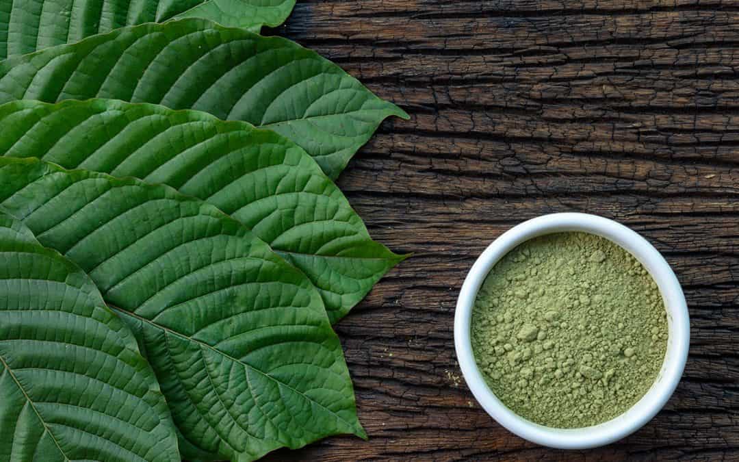 Looking to Get Creative with Kratom: Try These 3 Recipes